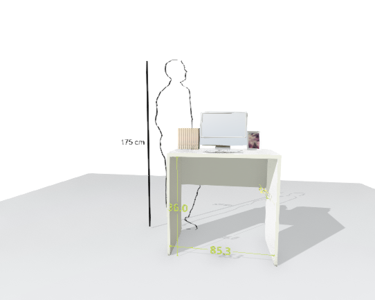 MAIN DESK