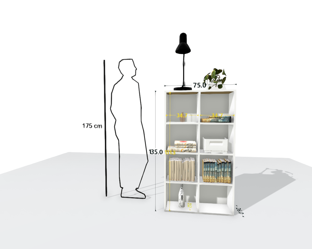 MAIN SHELF