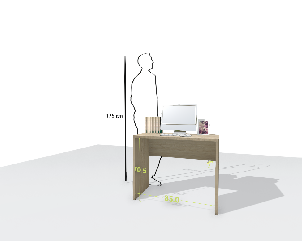 MAIN DESK