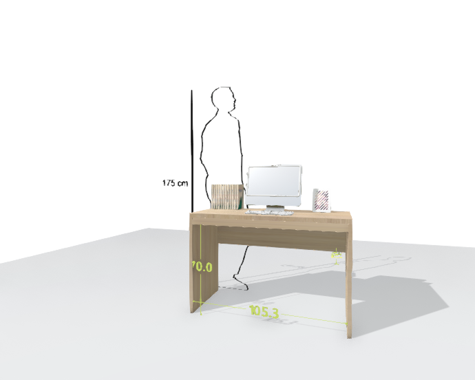 MAIN DESK