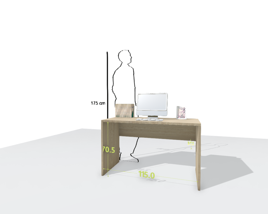 MAIN DESK