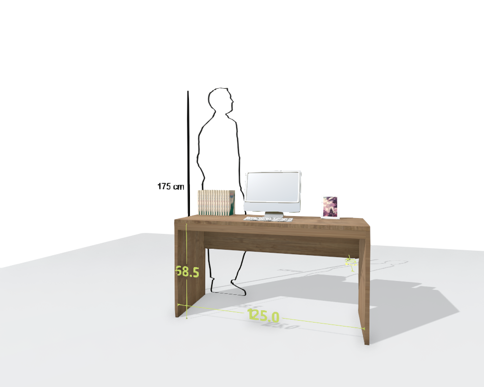 MAIN DESK