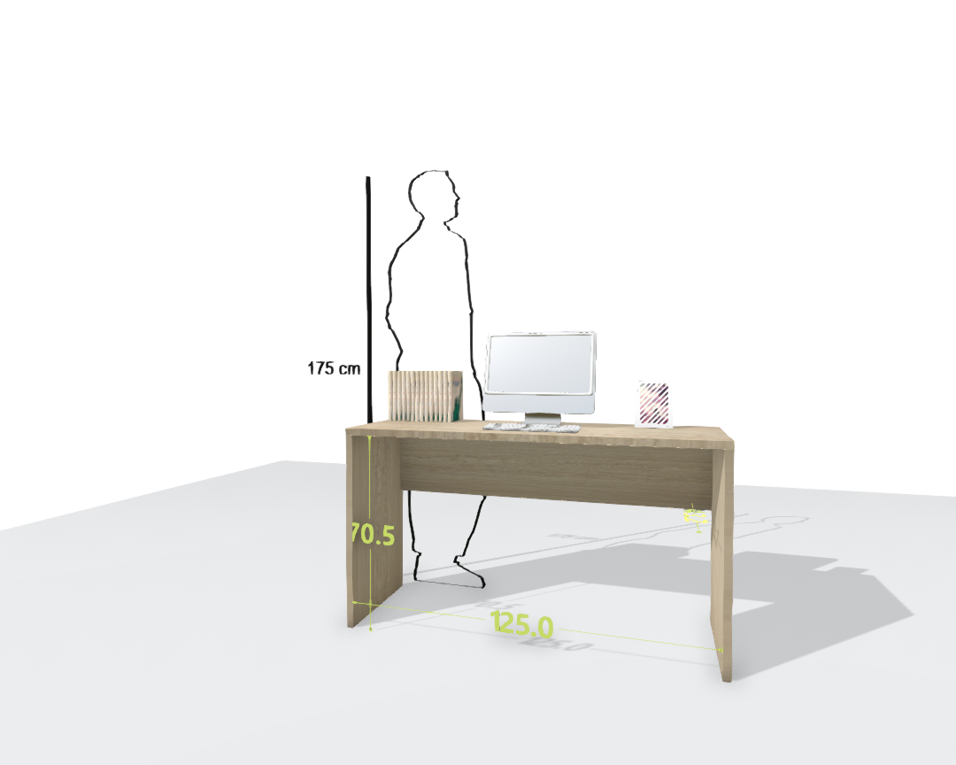 MAIN DESK