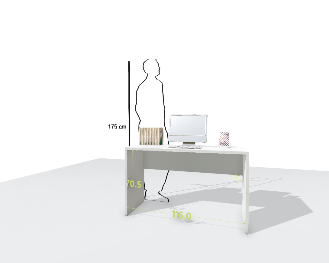 MAIN DESK