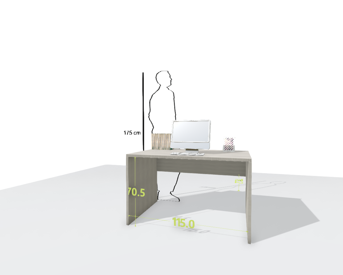 MAIN DESK