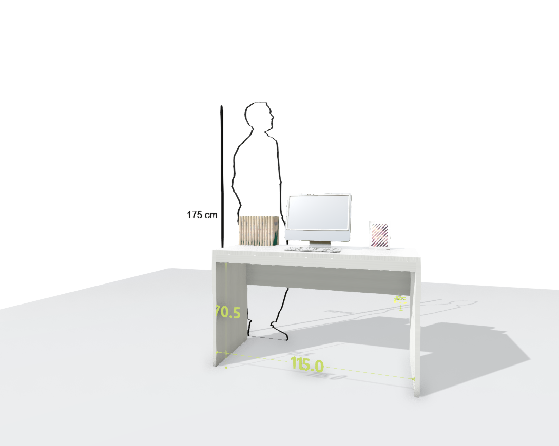 MAIN DESK