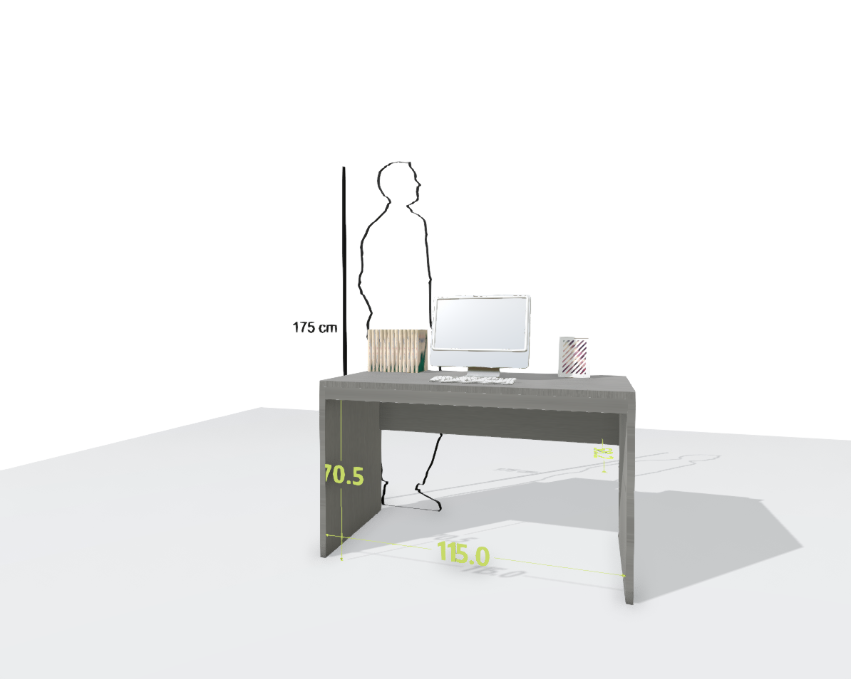 MAIN DESK