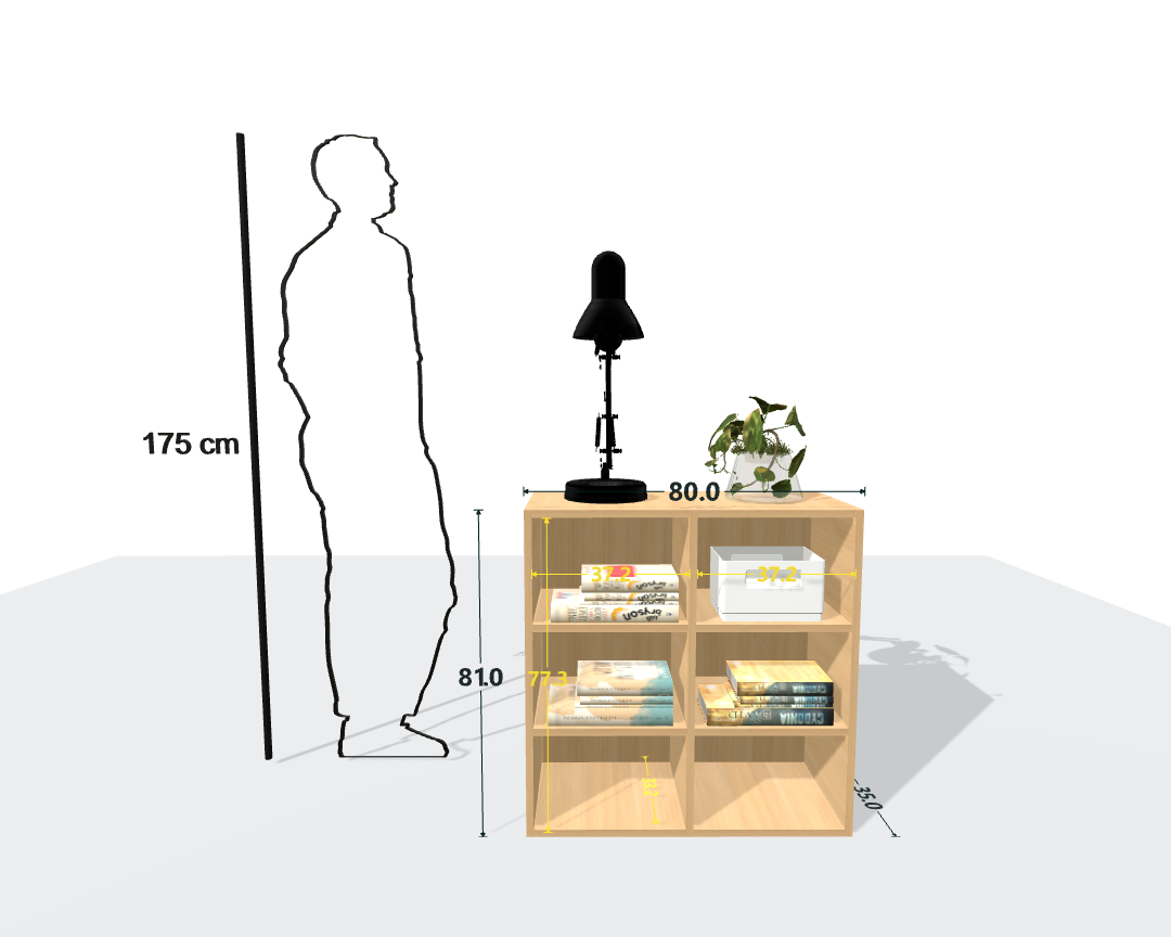 MAIN SHELF
