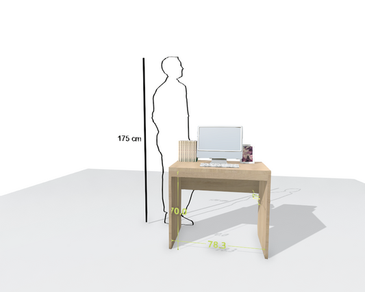 MAIN DESK