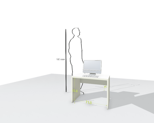 MAIN DESK