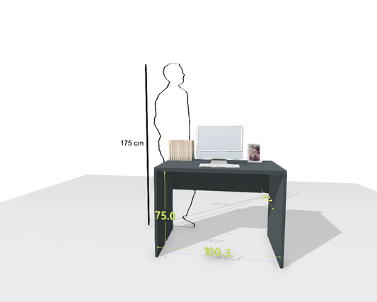 MAIN DESK