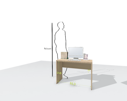 MAIN DESK