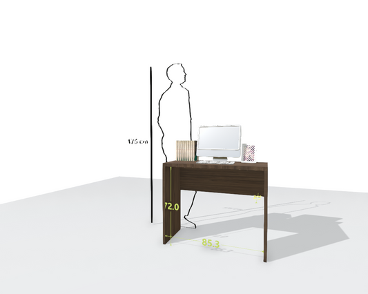 MAIN DESK