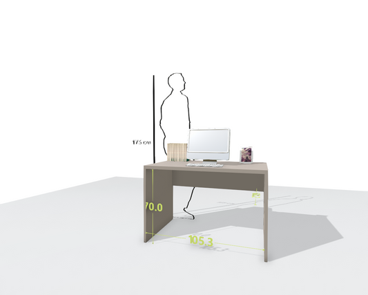 MAIN DESK