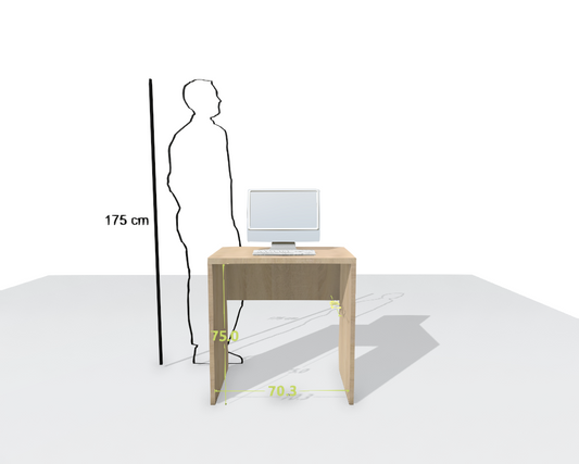 MAIN DESK