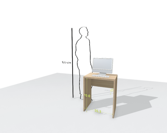 MAIN DESK
