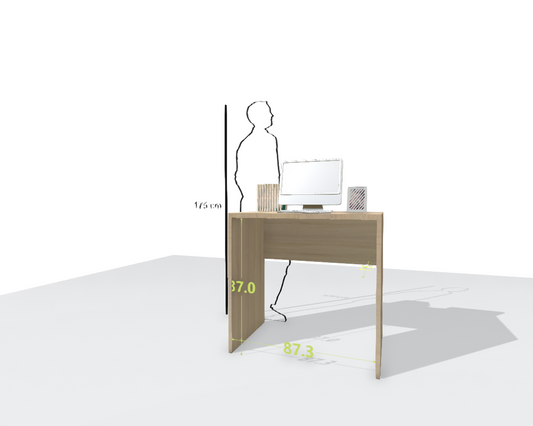 MAIN DESK