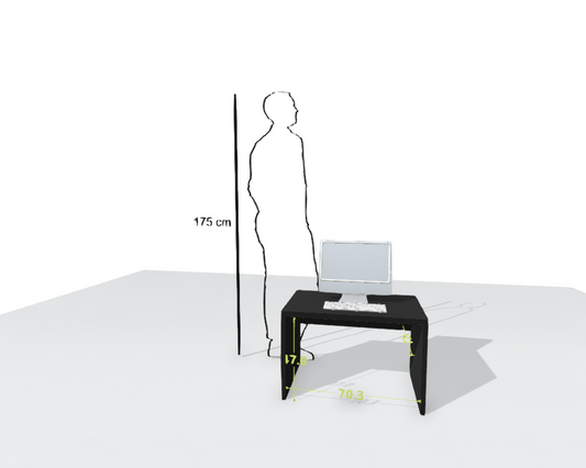 MAIN DESK