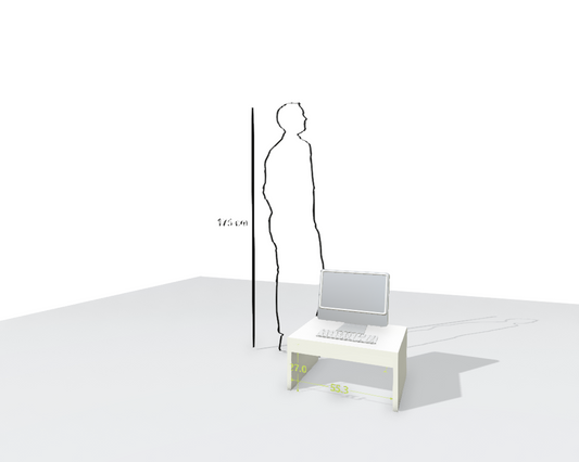 MAIN DESK