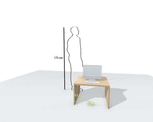 MAIN DESK