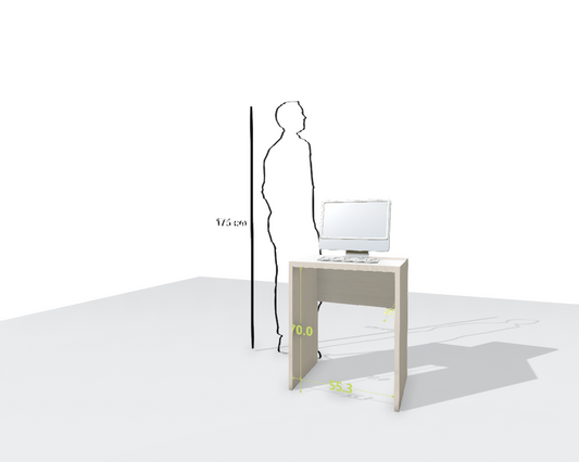 MAIN DESK