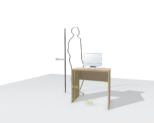MAIN DESK