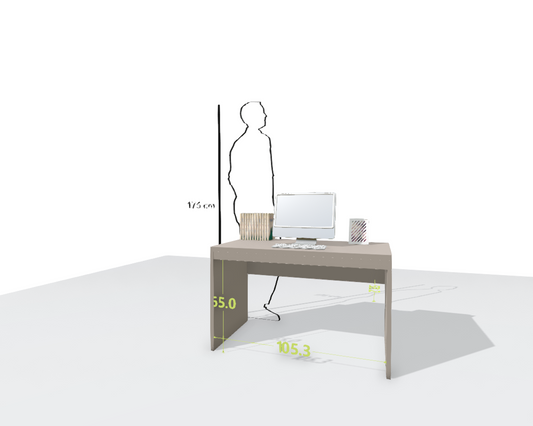 MAIN DESK