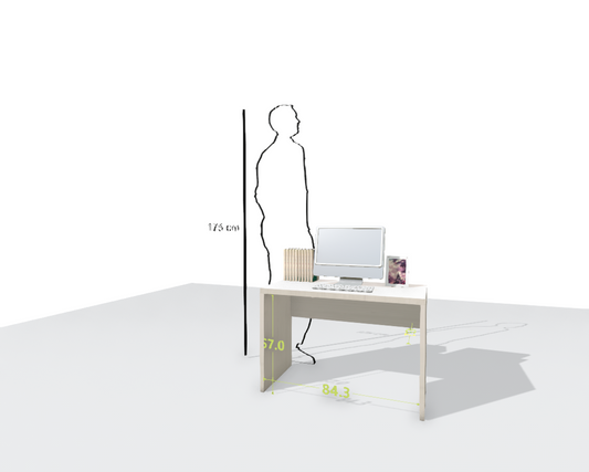 MAIN DESK
