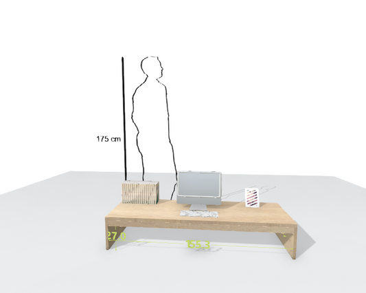 MAIN DESK