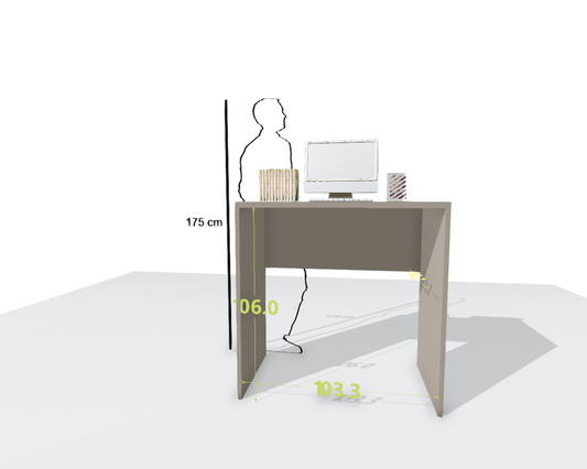 MAIN DESK