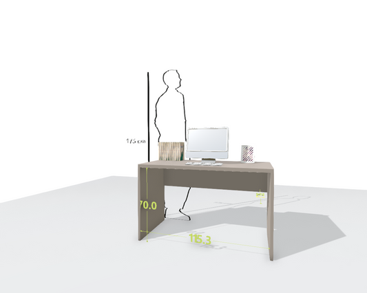 MAIN DESK