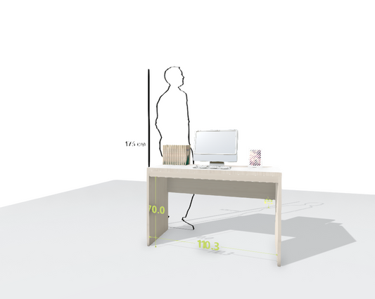 MAIN DESK