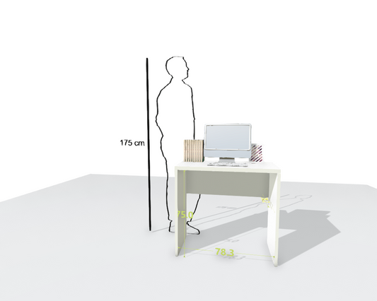 MAIN DESK