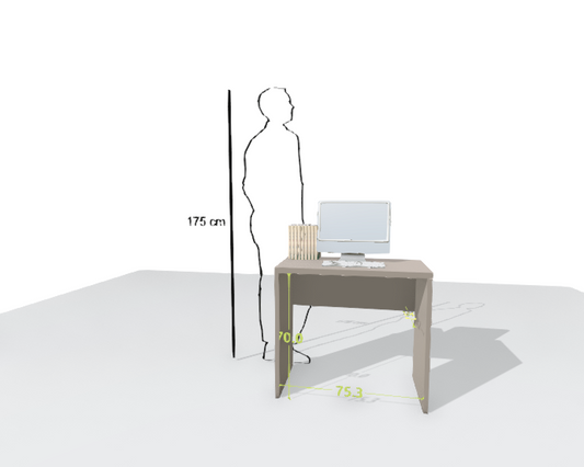 MAIN DESK