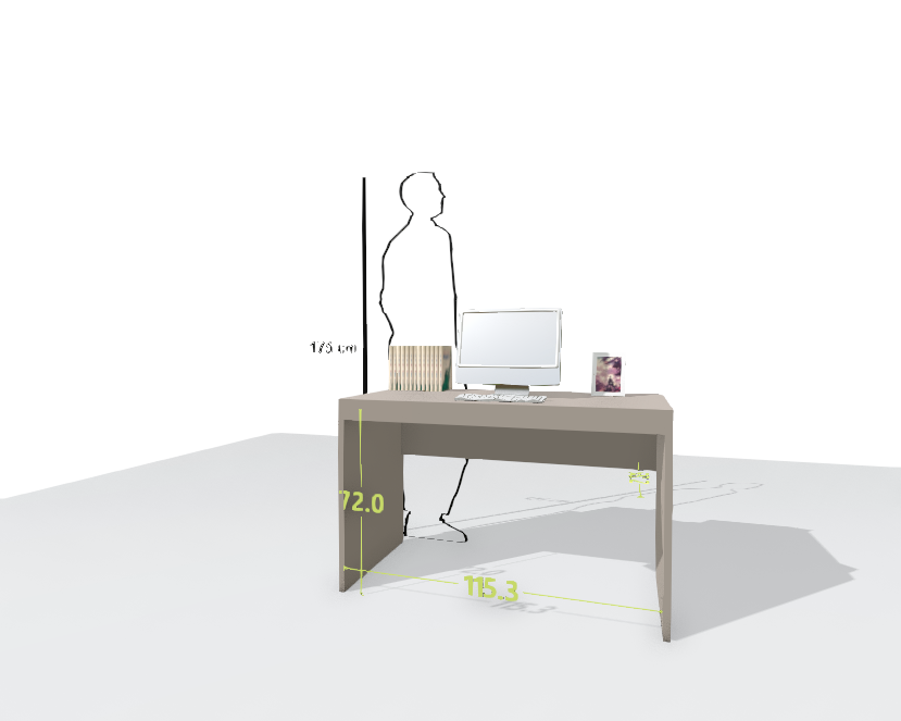 MAIN DESK