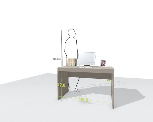 MAIN DESK