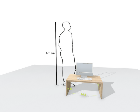MAIN DESK