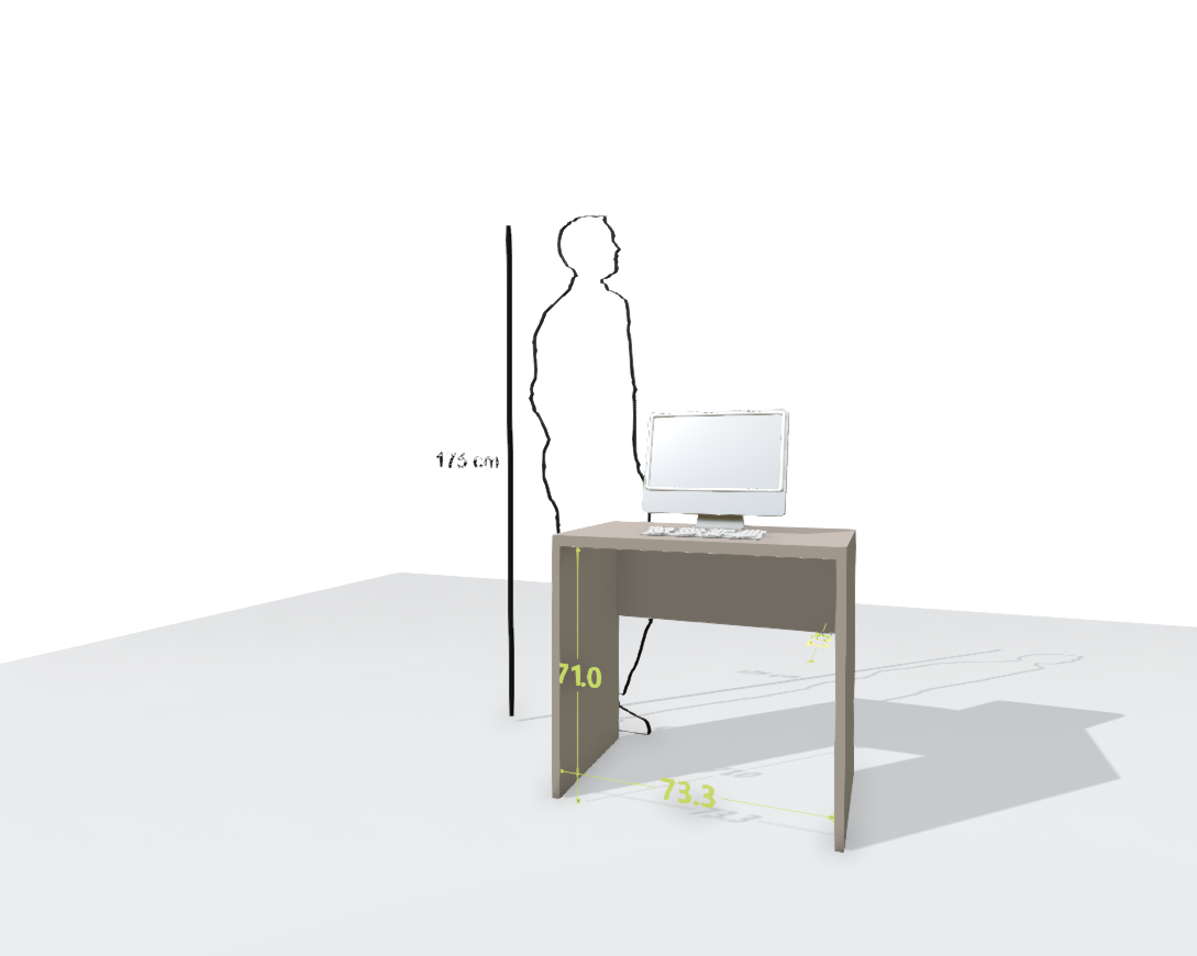 MAIN DESK