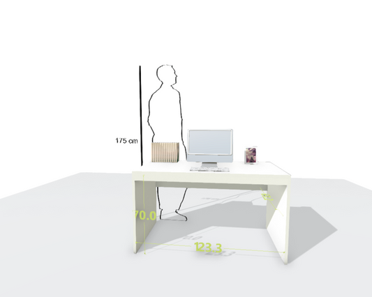 MAIN DESK
