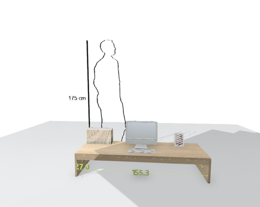 MAIN DESK