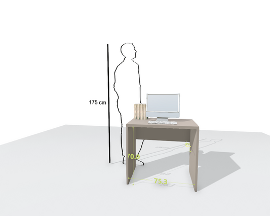 MAIN DESK