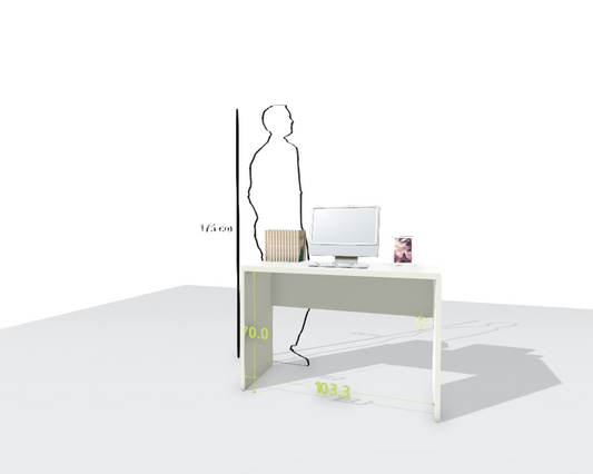 MAIN DESK