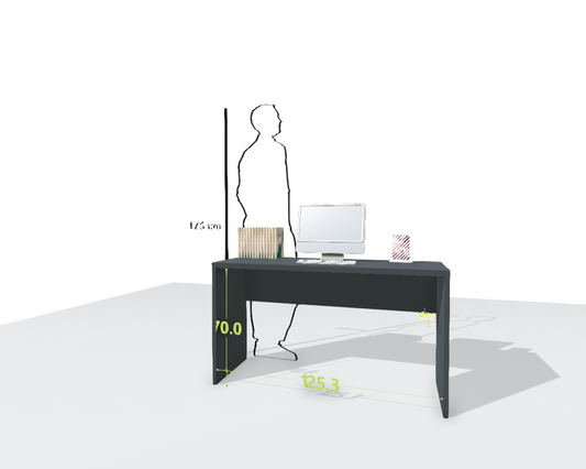 MAIN DESK