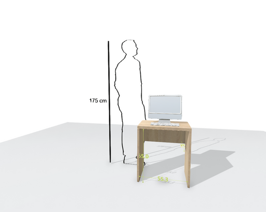 MAIN DESK