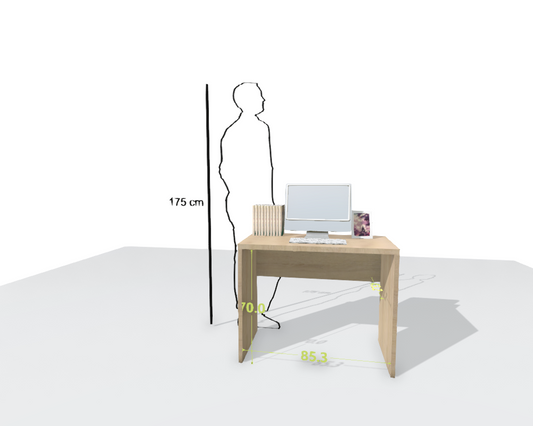 MAIN DESK