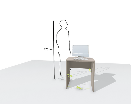 MAIN DESK