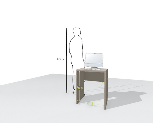 MAIN DESK