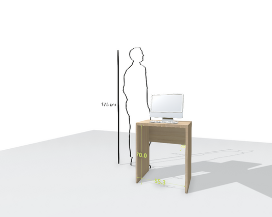 MAIN DESK