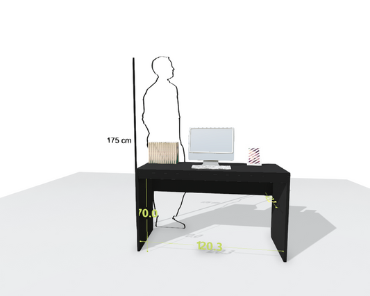 MAIN DESK