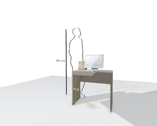 MAIN DESK